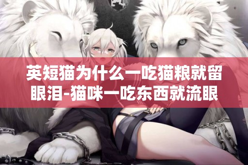 英短貓為什么一吃貓糧就留眼淚-貓咪一吃東西就流眼淚為什么