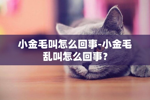 小金毛叫怎么回事-小金毛亂叫怎么回事？