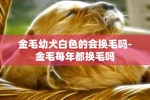 金毛幼犬白色的會換毛嗎-金毛每年都換毛嗎