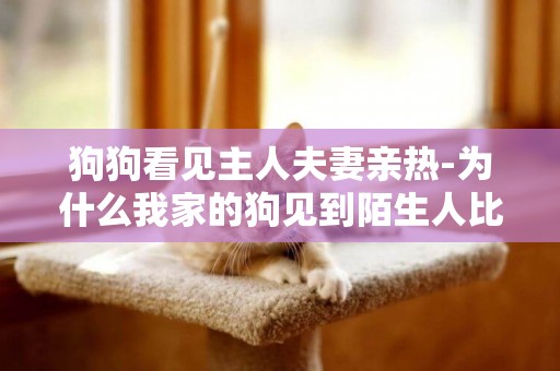 狗狗看見主人夫妻親熱-為什么我家的狗見到陌生人比主人還親熱？