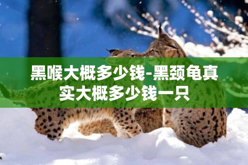 黑喉大概多少錢-黑頸龜真實大概多少錢一只