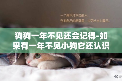 狗狗一年不見還會記得-如果有一年不見小狗它還認識我嗎?