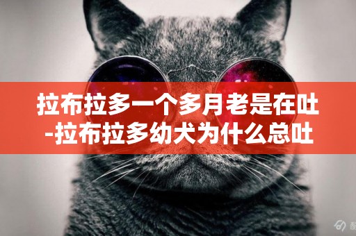 拉布拉多一個多月老是在吐-拉布拉多幼犬為什么總吐啊