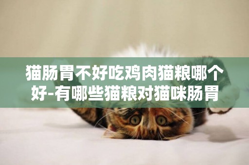 貓腸胃不好吃雞肉貓糧哪個好-有哪些貓糧對貓咪腸胃好？