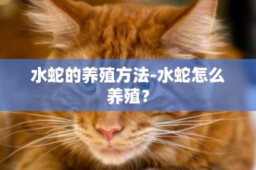 水蛇的養殖方法-水蛇怎么養殖？