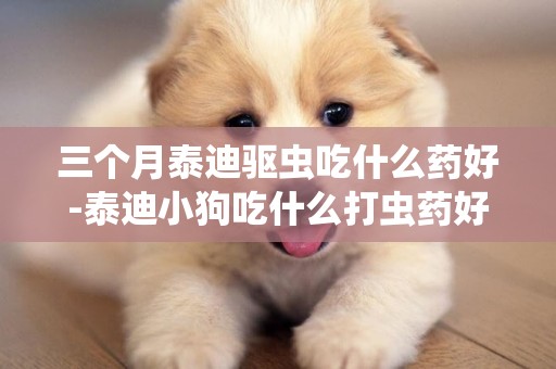 三個月泰迪驅蟲吃什么藥好-泰迪小狗吃什么打蟲藥好