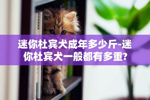 迷你杜賓犬成年多少斤-迷你杜賓犬一般都有多重?