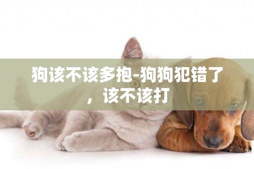 狗該不該多抱-狗狗犯錯了，該不該打