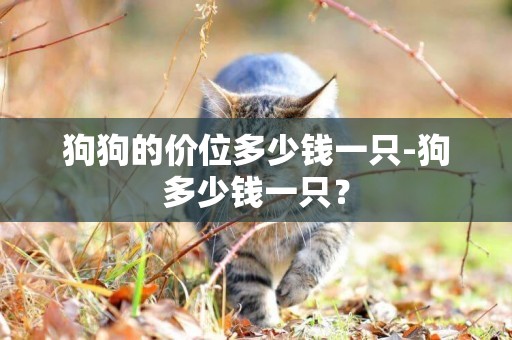 狗狗的價位多少錢一只-狗多少錢一只？