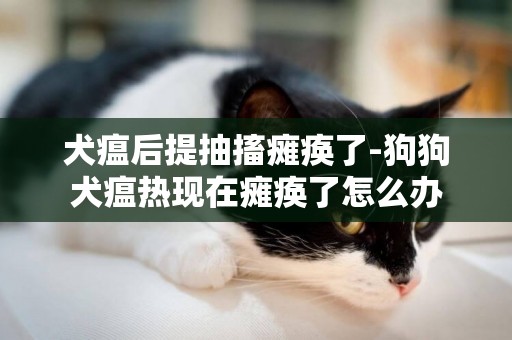 犬瘟后提抽搐癱瘓了-狗狗犬瘟熱現在癱瘓了怎么辦