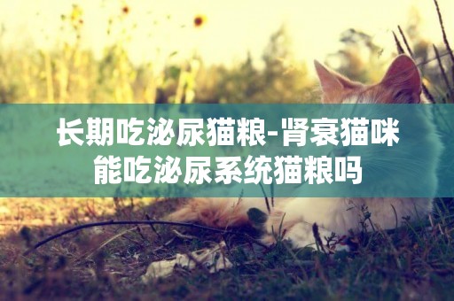 長期吃泌尿貓糧-腎衰貓咪能吃泌尿系統貓糧嗎