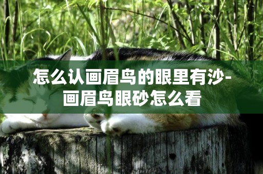 怎么認畫眉鳥的眼里有沙-畫眉鳥眼砂怎么看