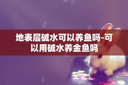 地表層堿水可以養魚嗎-可以用堿水養金魚嗎