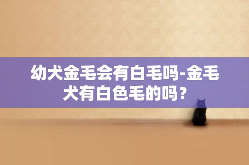 幼犬金毛會有白毛嗎-金毛犬有白色毛的嗎？