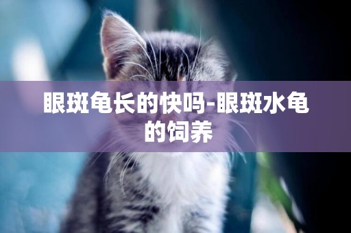 眼斑龜長的快嗎-眼斑水龜?的飼養