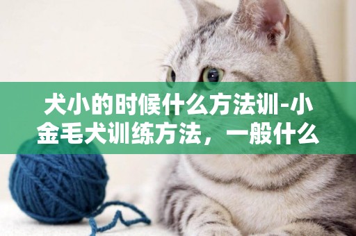 犬小的時候什么方法訓-小金毛犬訓練方法，一般什么時候開始