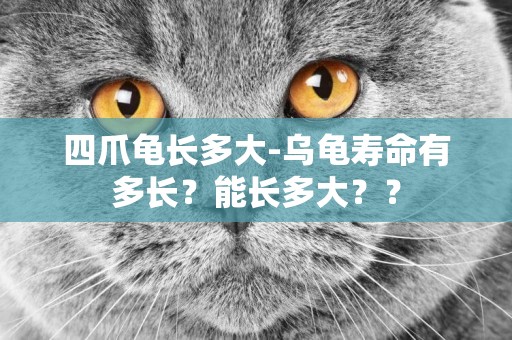 四爪龜長多大-烏龜壽命有多長？能長多大？？