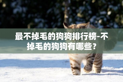 最不掉毛的狗狗排行榜-不掉毛的狗狗有哪些？