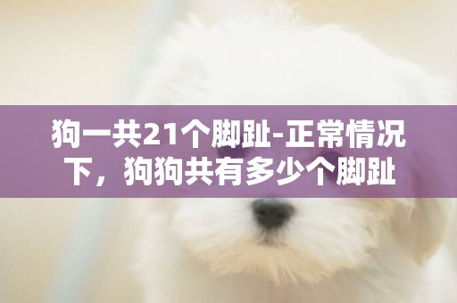 狗一共21個腳趾-正常情況下，狗狗共有多少個腳趾