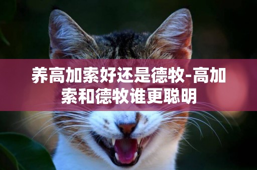 養高加索好還是德牧-高加索和德牧誰更聰明