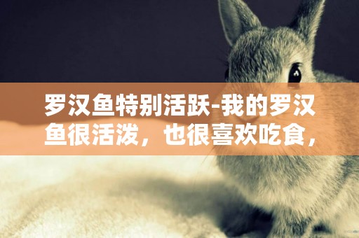 羅漢魚特別活躍-我的羅漢魚很活潑，也很喜歡吃食，但是我經常看魚食碎渣從他嘴里反出來這種情況正常么 各