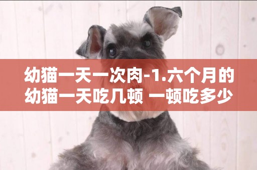 幼貓一天一次肉-1.六個月的幼貓一天吃幾頓 一頓吃多少 2.另外需要什么其他食物（如肉 罐頭） 一頓
