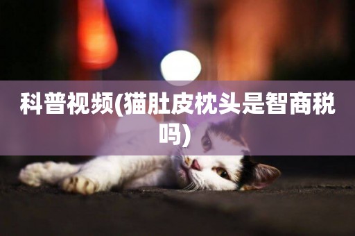 科普視頻(貓肚皮枕頭是智商稅嗎) 