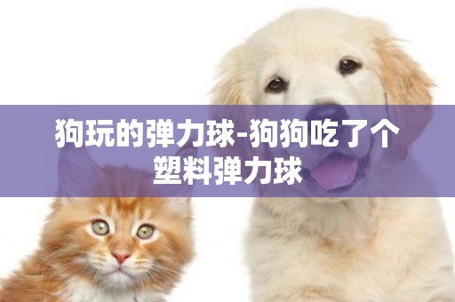 狗玩的彈力球-狗狗吃了個塑料彈力球