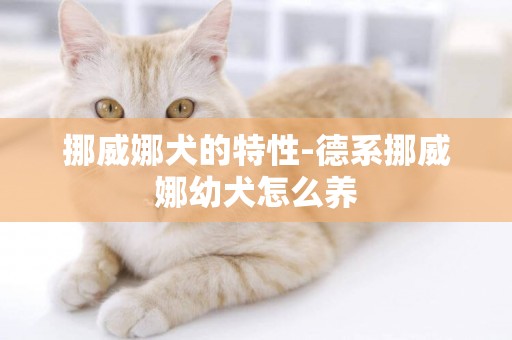 挪威娜犬的特性-德系挪威娜幼犬怎么養