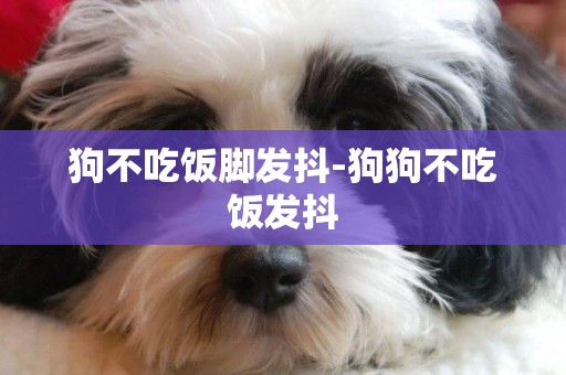 狗不吃飯腳發抖-狗狗不吃飯發抖