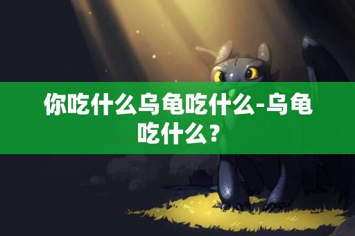 你吃什么烏龜吃什么-烏龜吃什么？