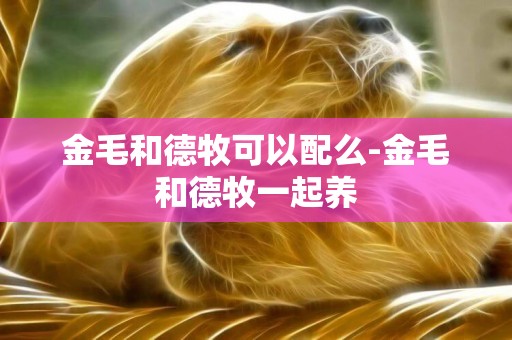 金毛和德牧可以配么-金毛和德牧一起養