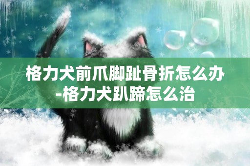 格力犬前爪腳趾骨折怎么辦-格力犬趴蹄怎么治