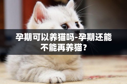 孕期可以養貓嗎-孕期還能不能再養貓？