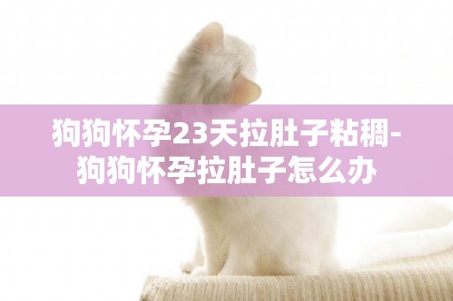 狗狗懷孕23天拉肚子粘稠-狗狗懷孕拉肚子怎么辦