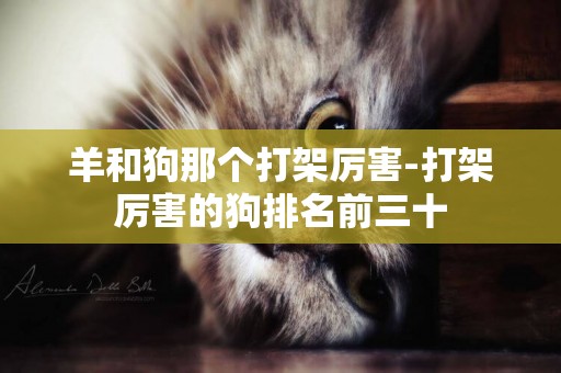 羊和狗那個打架厲害-打架厲害的狗排名前三十