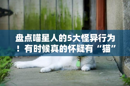 盤點喵星人的5大怪異行為！有時候真的懷疑有“貓”病 