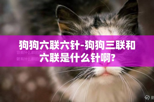 狗狗六聯六針-狗狗三聯和六聯是什么針啊?