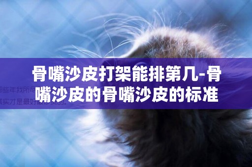骨嘴沙皮打架能排第幾-骨嘴沙皮的骨嘴沙皮的標準
