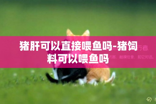 豬肝可以直接喂魚嗎-豬飼料可以喂魚嗎