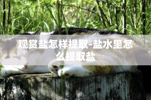 觀賞鹽怎樣提取-鹽水里怎么提取鹽