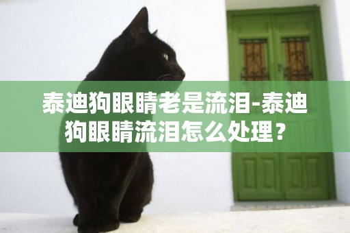 泰迪狗眼睛老是流淚-泰迪狗眼睛流淚怎么處理？