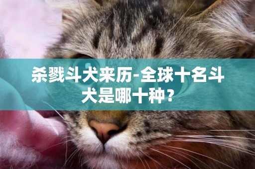 殺戮斗犬來歷-全球十名斗犬是哪十種？