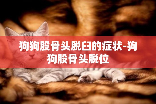 狗狗股骨頭脫臼的癥狀-狗狗股骨頭脫位