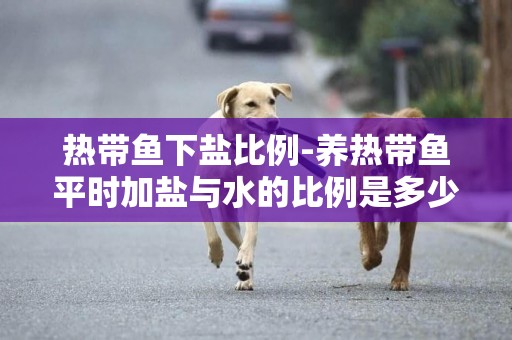 熱帶魚下鹽比例-養熱帶魚平時加鹽與水的比例是多少最好？