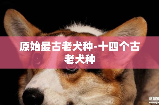 原始最古老犬種-十四個古老犬種