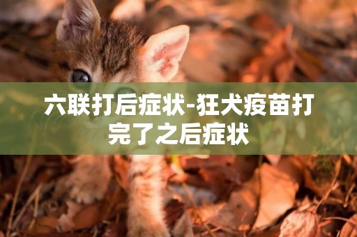 六聯打后癥狀-狂犬疫苗打完了之后癥狀