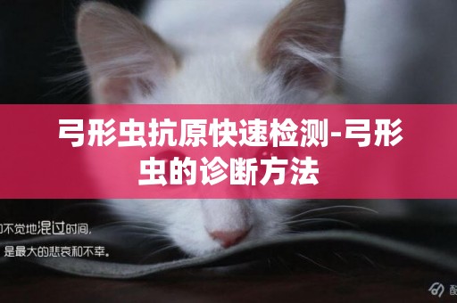 弓形蟲抗原快速檢測-弓形蟲的診斷方法