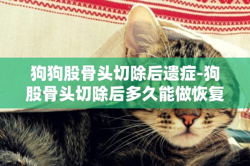 狗狗股骨頭切除后遺癥-狗股骨頭切除后多久能做恢復訓練？