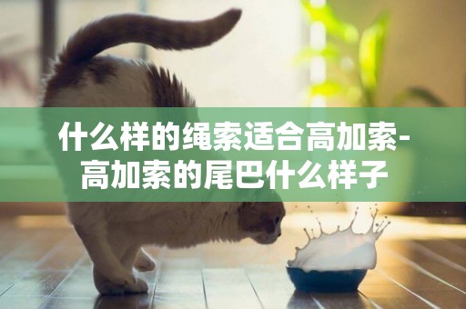 什么樣的繩索適合高加索-高加索的尾巴什么樣子